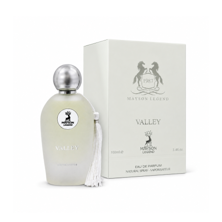 VALLEY – MAYSON LEGEND (100مل رجالي)