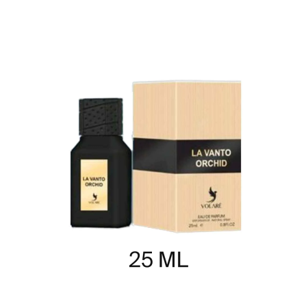 LA Vanto Orchid by Volare